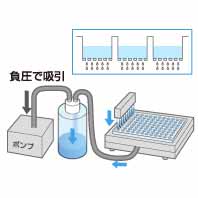 サンプル精製・濃縮・抽出作業